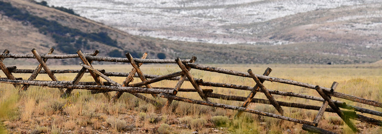 jackleg fence in grassland